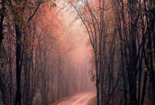 “十五运”排球成年组资格赛循环赛战罢 男女排各10支队伍直通决赛阶段.