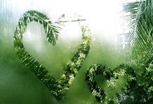 开云体育官网：2032年布里斯班奥运会将建造全新主体育.