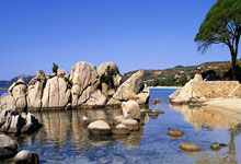 开云体育官网：樊振东身穿日本棒球球员球衣照引争议：体育无国界,理解应多元.